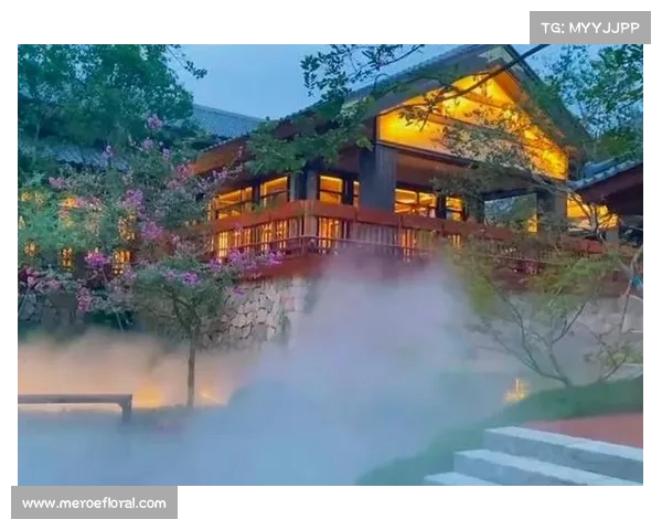 普拉尼奇：探索这座历史悠久的小镇与自然风光交织的魅力之地